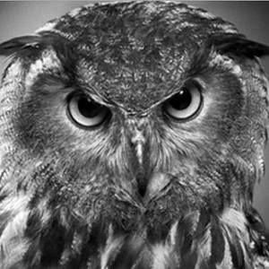 Meet your Posher, Terrence